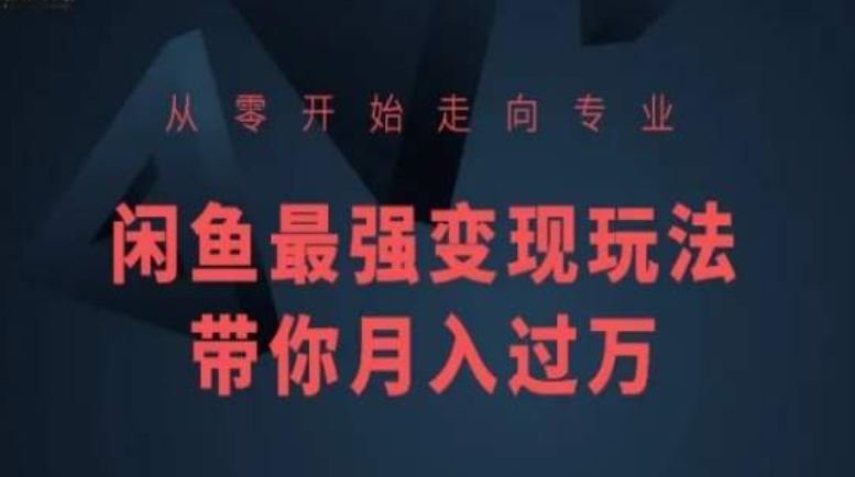从零开始走向专业，闲鱼最强变现玩法带你月入过万-徐小晨博客