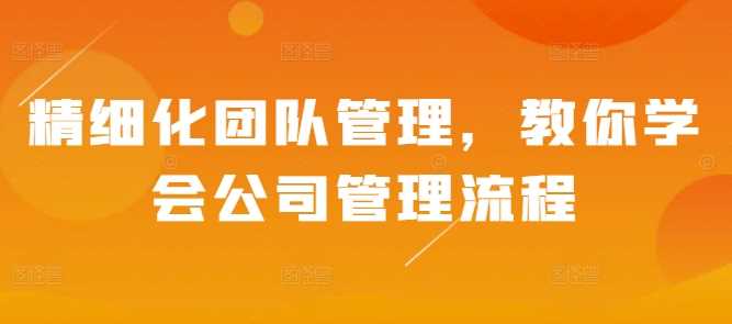 精细化团队管理，教你学会公司管理流程-徐小晨博客