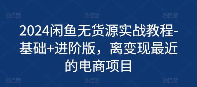 2024闲鱼无货源实战教程-基础+进阶版，离变现最近的电商项目-徐小晨博客