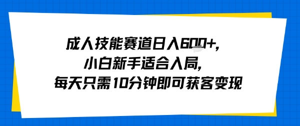 成人技能赛道日入多张，小白新手适合入局，每天只需10分钟即可获客变现-徐小晨博客