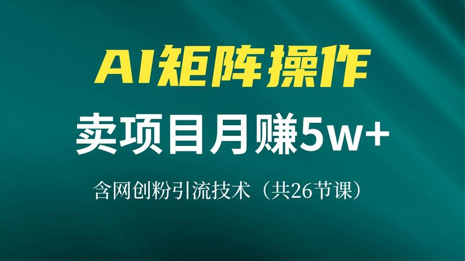 网创IP打造课，借助AI卖项目月赚5万+，含引流技术（共26节课）-徐小晨博客
