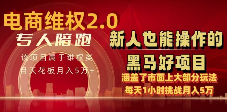 电商维权 4.0 如何做到月入 5 万+每天 1 小时新人也能快速上手【仅揭秘】-徐小晨博客
