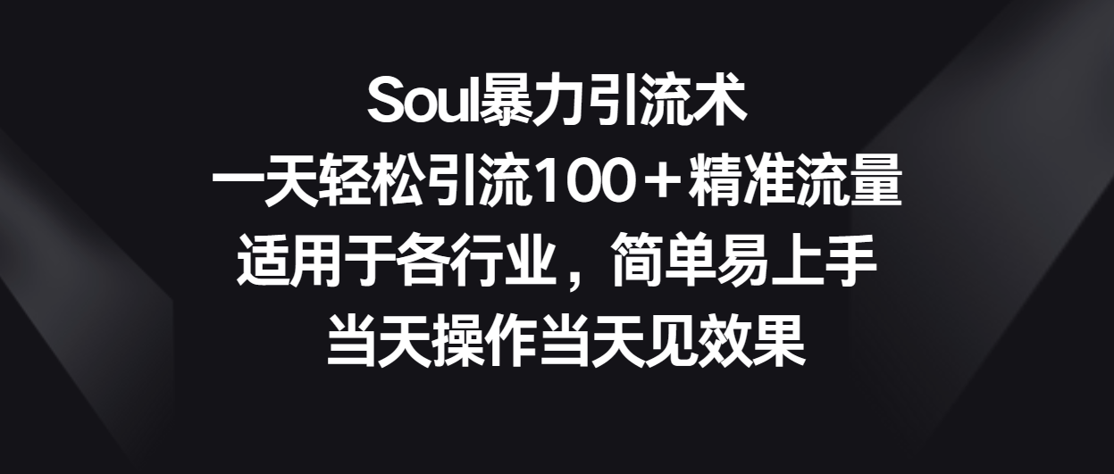Soul暴力引流术，一天轻松引流100＋精准流量，适用于各行业，简单易上手！-徐小晨博客