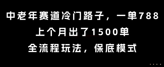 中老年赛道冷门路子，一单788，上个月出了1500单，全流程玩法，保底模式【揭秘】-徐小晨博客