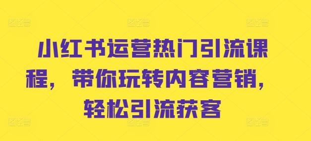 小红书运营热门引流课程，带你玩转内容营销，轻松引流获客-徐小晨博客