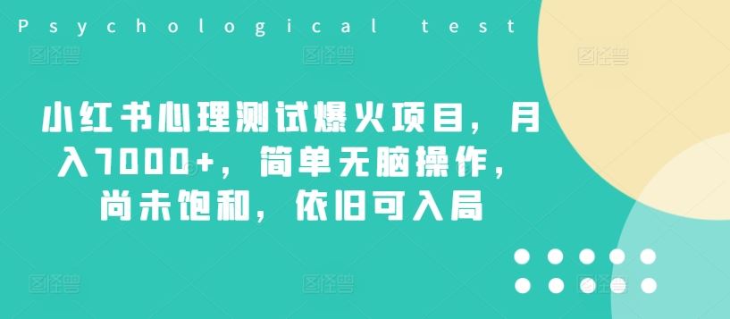 小红书心理测试爆火项目，月入7000+，简单无脑操作，尚未饱和，依旧可入局-徐小晨博客