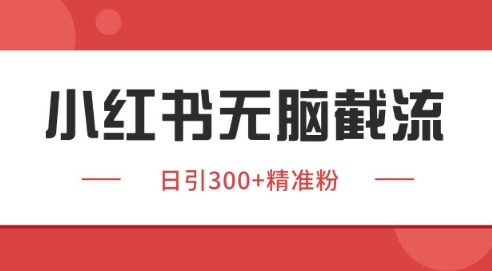 小红书截流同行客源，独家野路子获客玩法 日引200+暴力获客【揭秘】-徐小晨博客