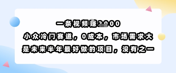 一条视频挣1k，小众冷门赛道，0成本，市场需求大，是未来半年最好做的项目，没有之一-徐小晨博客