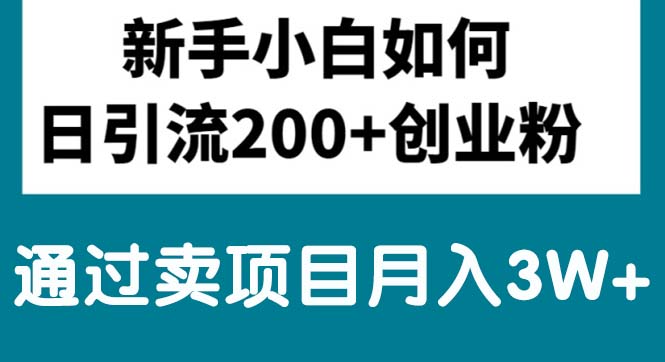 新手小白日引流200+创业粉,通过卖项目月入3W+-徐小晨博客