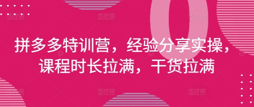 拼多多特训营，经验分享实操，课程时长拉满，干货拉满(更新25年4月)-徐小晨博客
