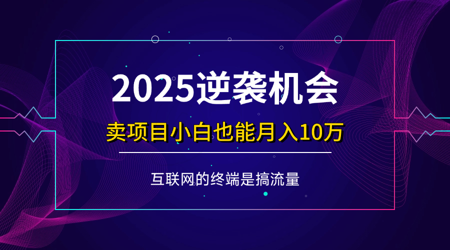 项目标题：2025逆袭机会，卖项目小白也能轻松月入10万+-徐小晨博客