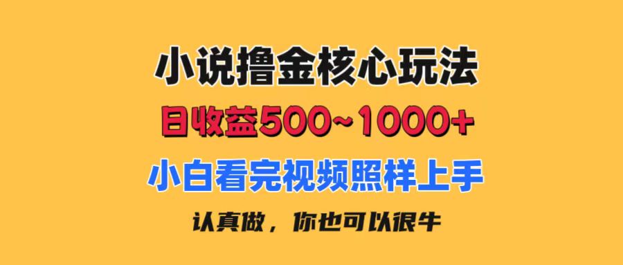 小说撸金核心玩法，日收益500-1000+，小白看完照样上手，0成本有手就行-徐小晨博客