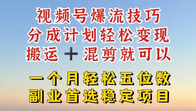 视频号爆流技巧，分成计划轻松变现，搬运 +混剪就可以，一个月轻松五位数稳定项目【揭秘】-徐小晨博客