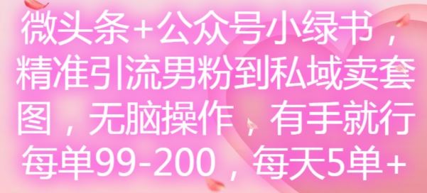 微头条+公众号小绿书，精准引流男粉到私域卖套图，无脑操作，有手就行，每单99-200，每天5单-徐小晨博客