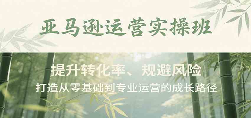 亚马逊运营实操班，提升转化率、规避风险，打造从零基础到专业运营的成长路径-徐小晨博客