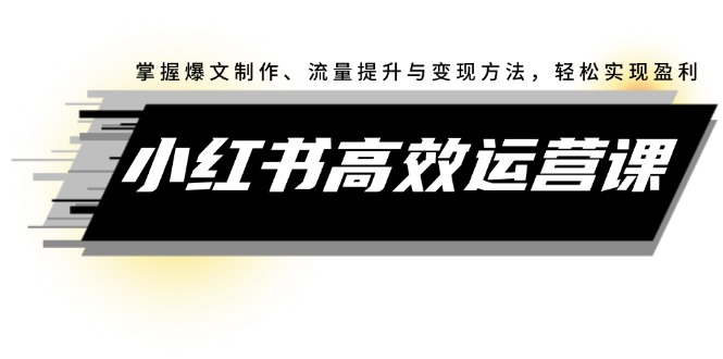 小红书高效运营课：掌握爆文制作、流量提升与变现方法，轻松实现盈利-徐小晨博客