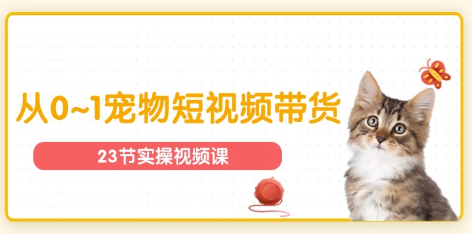 宠物行业从0~1宠物短视频带货实操课（23节课）-徐小晨博客