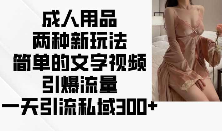 成人用品两种新玩法，简单的文字视频引爆流量，一天引流私域300+-徐小晨博客