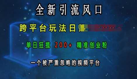 全新引流风口，跨平台玩法日入上k，单日狂揽200+精准创业粉，一个被严重忽略的视频平台-徐小晨博客