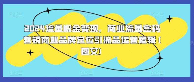 2024流量吸金变现，商业流量密码营销商业品牌定位引流品运营逻辑(图文)-徐小晨博客