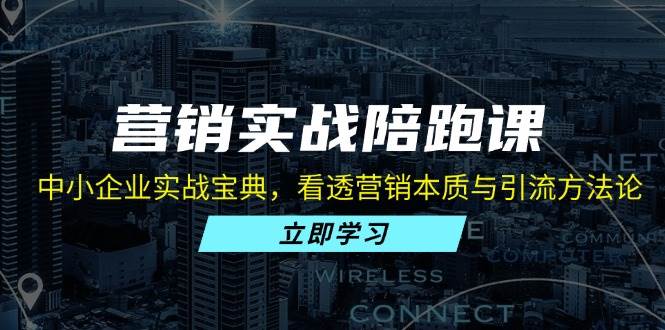 营销实战陪跑课：中小企业实战宝典，看透营销本质与引流方法论-徐小晨博客