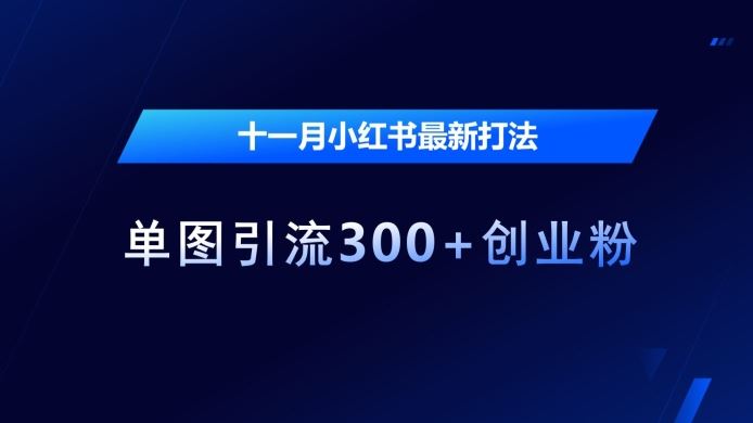 十一月小红书最新打法，单图引流300+创业粉【揭秘】-徐小晨博客