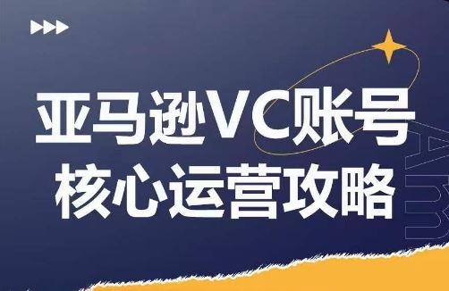 亚马逊VC账号核心玩法解析，实战经验拆解产品模块运营技巧，提升店铺GMV，有效提升运营利润-徐小晨博客