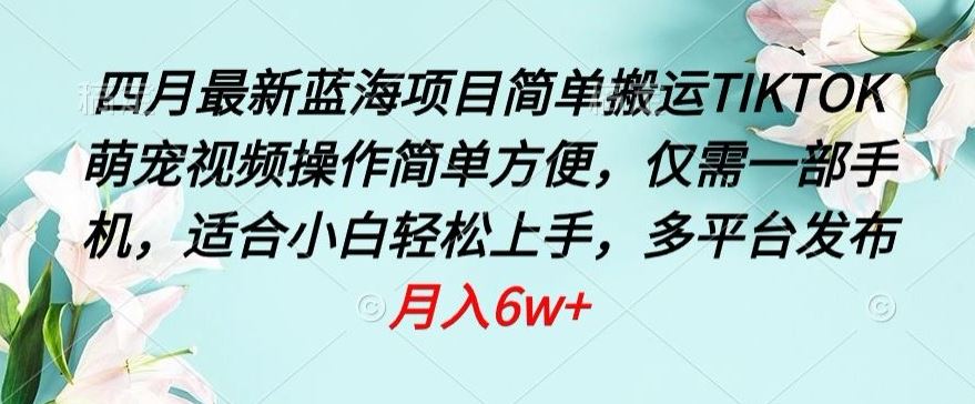 四月最新蓝海项目，简单搬运TIKTOK萌宠视频，操作简单方便，仅需一部手机【揭秘】-徐小晨博客