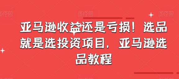 亚马逊收益还是亏损！选品就是选投资项目，亚马逊选品教程-徐小晨博客