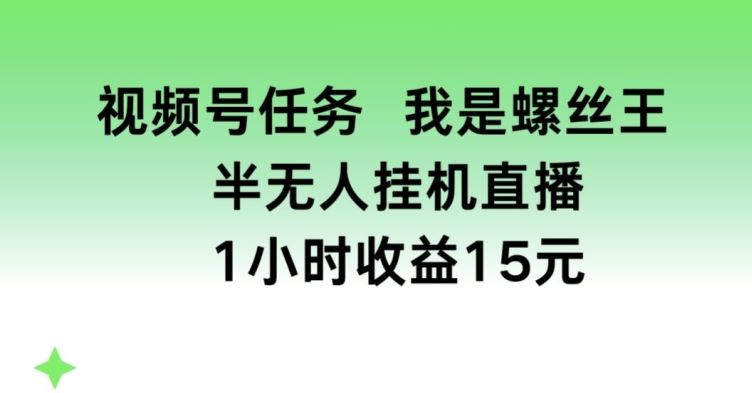 视频号任务，我是螺丝王， 半无人挂机1小时收益15元【揭秘】-徐小晨博客