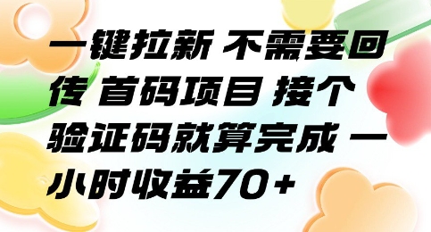一键拉新 不需要回传 首码项目 接个验证码就算完成 一小时收益70+【揭秘】-徐小晨博客