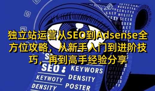 独立站运营从SEO到Adsense全方位攻略，从新手入门到进阶技巧，再到高手经验分享-徐小晨博客