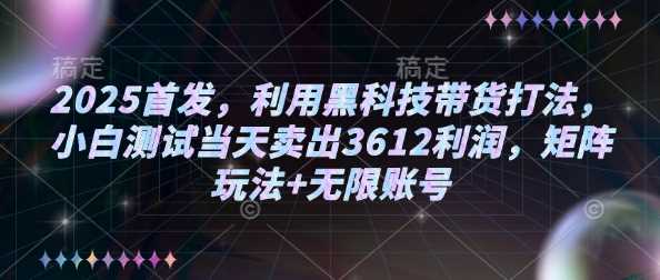 2025首发，利用黑科技带货打法，小白测试当天卖出3612利润，矩阵玩法+无限账号【揭秘】-徐小晨博客