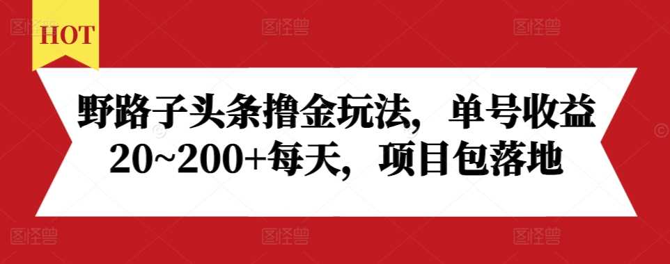 野路子头条撸金玩法，单号收益20~200+每天，项目包落地-徐小晨博客