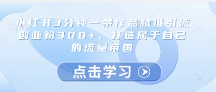小红书3分钟一条作品精准引流创业粉300+，打造属于自己的流量帝国-徐小晨博客