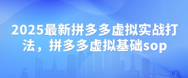 2025最新拼多多虚拟实战打法，拼多多虚拟基础sop-徐小晨博客