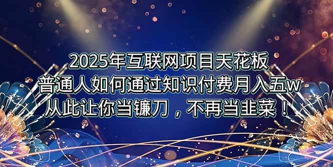 2025年互联网项目天花板，普通人如何通过卖项目实现逆风翻盘，月入5W＋！-徐小晨博客