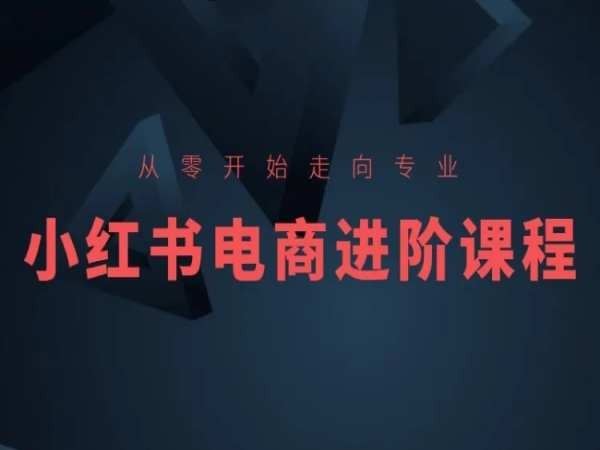 从零开始走向专业，小红书电商进阶课程-徐小晨博客