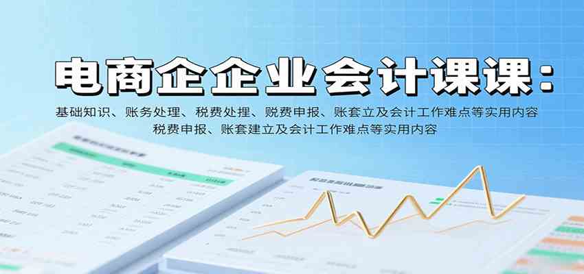 电商企业会计课：基础知识、账务处理、税费申报、账套建立及会计工作难点等实用内容-徐小晨博客