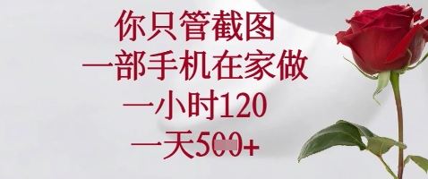 你只管截图，一部手机在家做，苹果安卓都可以，一小时120，一天5张+【揭秘】-徐小晨博客