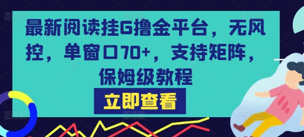 最新阅读挂G撸金平台，无风控，单窗口70+，支持矩阵，保姆级教程【揭秘】-徐小晨博客