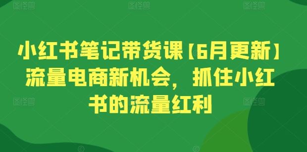 小红书笔记带货课【6月更新】流量电商新机会，抓住小红书的流量红利-徐小晨博客