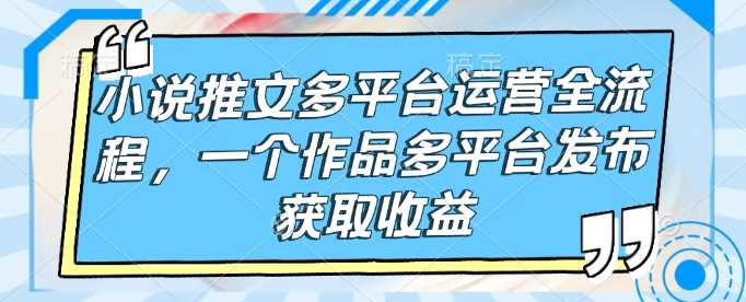 小说推文多平台运营全流程，一个作品多平台发布获取收益-徐小晨博客