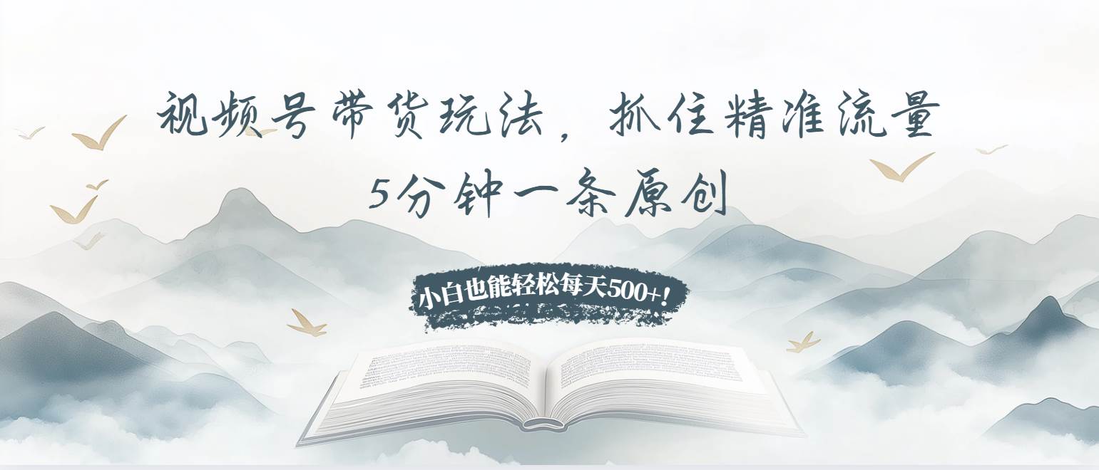 视频号带货玩法，抓住精准流量，5分钟一条原创，小白也能轻松每天500+！-徐小晨博客