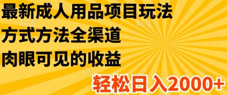 最新成人用品项目玩法，方式方法全渠道，轻松日入2K+【揭秘】-徐小晨博客