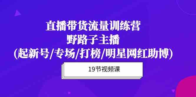 直播带货流量特训营，野路子主播(起新号/专场/打榜/明星网红助博)19节课-徐小晨博客