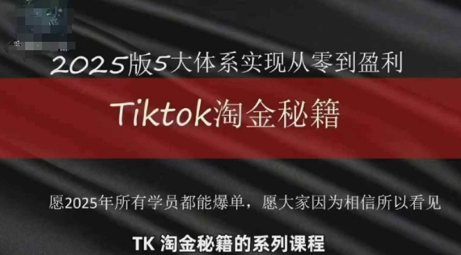 TikTok跨境2025淘金秘籍，2025TikTok从0到盈利变现-徐小晨博客