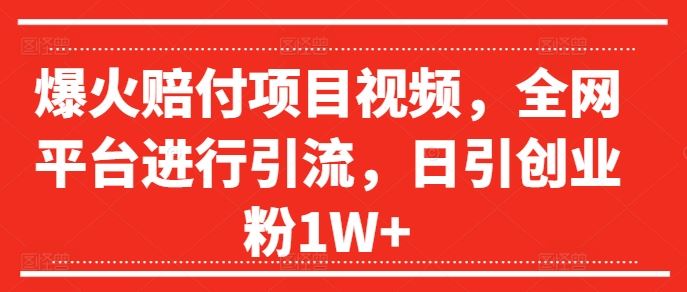 爆火赔付项目视频，全网平台进行引流，日引创业粉1W+【揭秘】-徐小晨博客