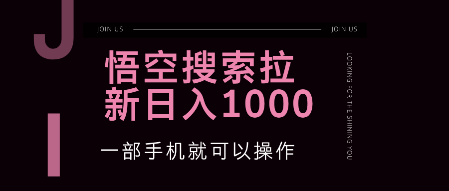 悟空搜索类拉新 蓝海项目 一部手机就可以操作 教程非常详细-徐小晨博客