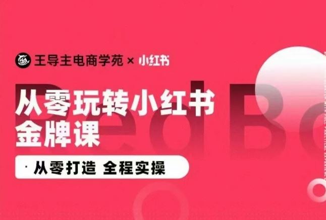 王导主·小红书电商运营实操课，从零打造 全程实操-徐小晨博客